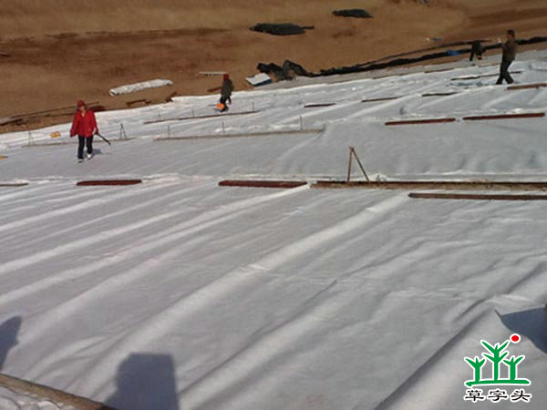 土工布，土工膜，復(fù)合土工膜