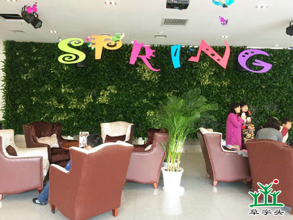 長(zhǎng)沙陽(yáng)光100——立體綠化、垂直綠化、墻體綠化、植物墻