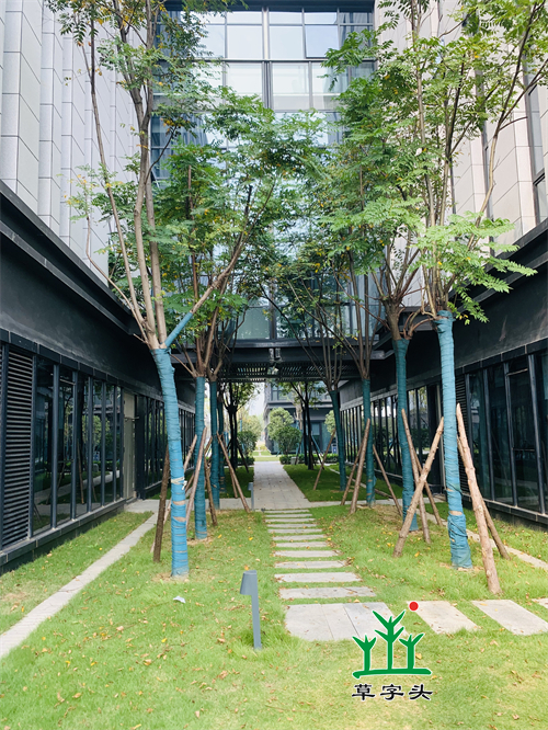 湖南草字頭生態(tài)環(huán)境建設有限公司,人造草坪假草皮,湖南雨水收集處理工藝