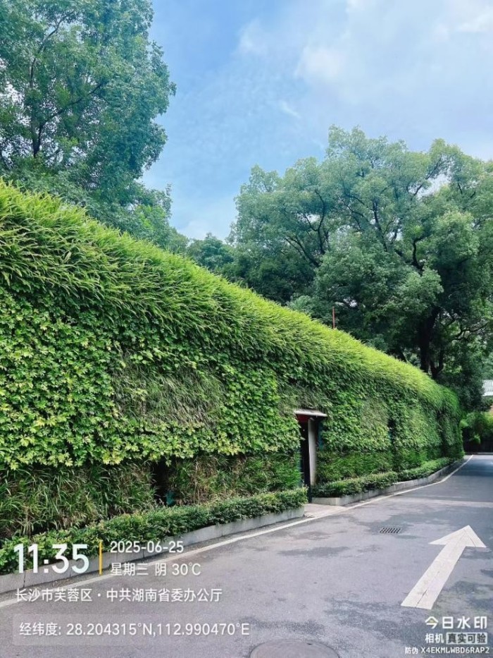 湖南草字頭生態(tài)環(huán)境建設(shè)有限公司,人造草坪假草皮,湖南雨水收集處理工藝